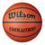 Wilson Evolution Ball