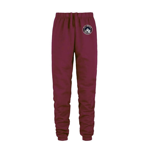 All Saints Printed Joggers